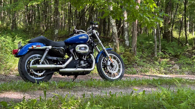 08 XL1200R