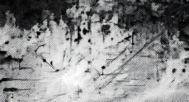IMG 5476.jpg