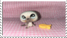 IMG-8147
