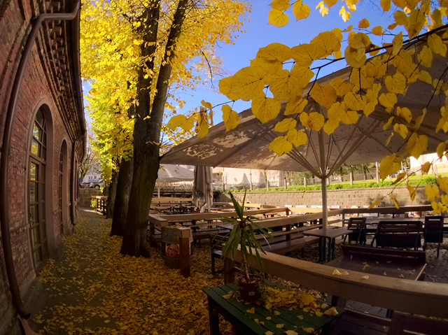 P1012912a0000.jpg