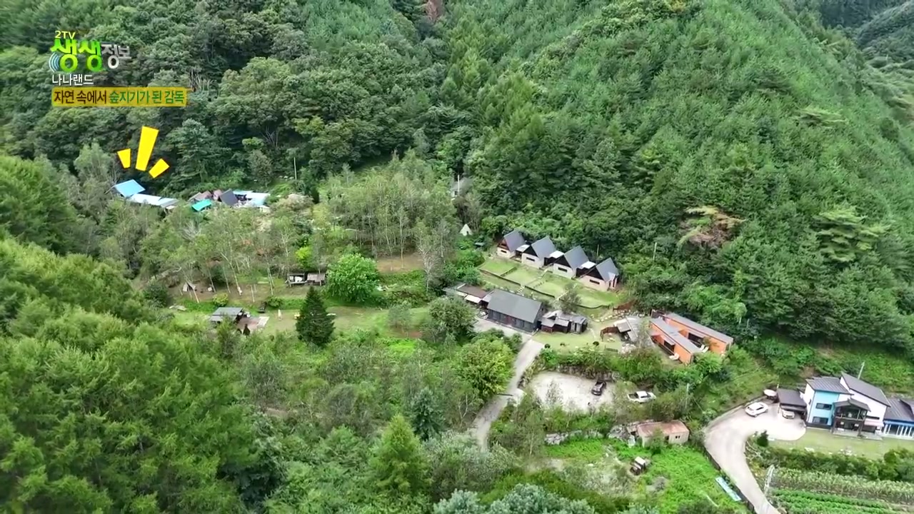생생정보 나나랜드 자연속에서 숲지기가 된 감독 캡처