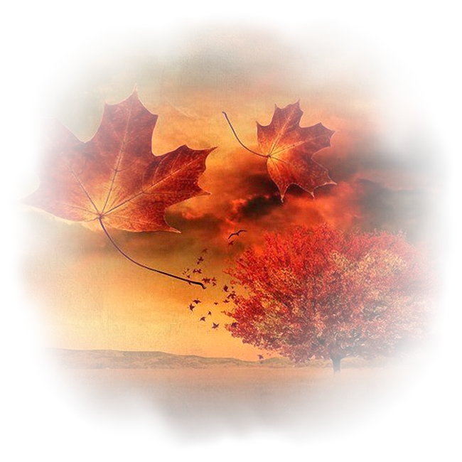 Autumn7-Ju-misted-Silvie-22-09-2021