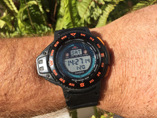 IMG 2483