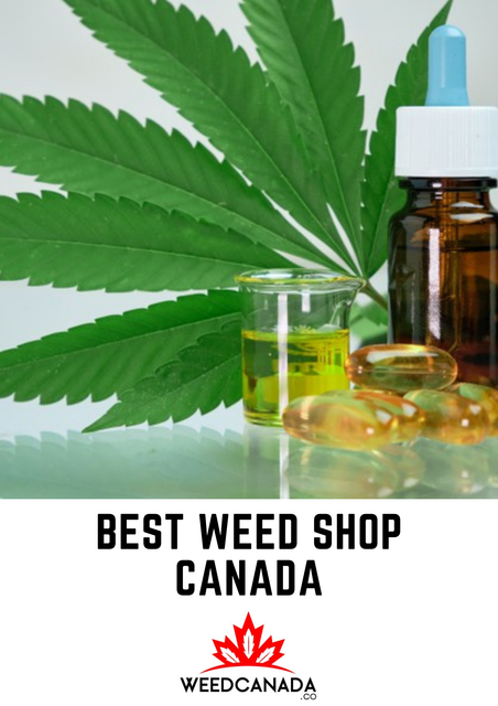Best-Weed-Shop-Canada-31.png