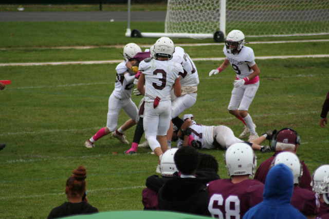 IMG-0732.jpg