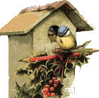BirdHsXm