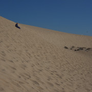DSCF8585