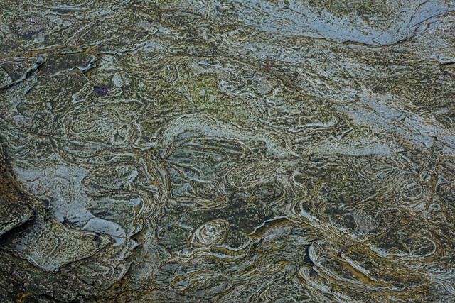 E1SR6089.jpg