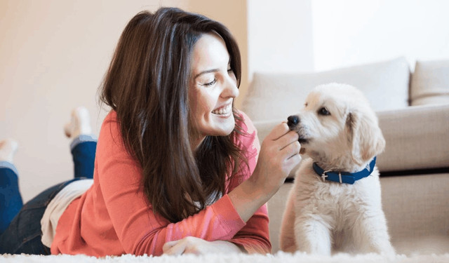 Pets-Health-100