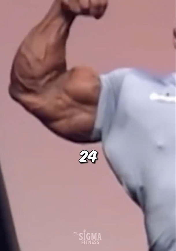 [IMAGE:https://i.ibb.co/XbhBx1C/ARMS.jpg]