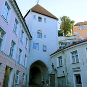 IMG-1287