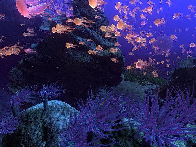 underwater jelly fish