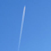 IMG-20221017-114959