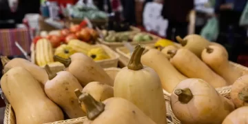 Lokaal & seizoensgebonden eten - waarom het nu belangrijker is - www.vleeskopenbijdeboer.nl