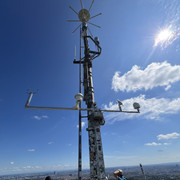 IMG-2342