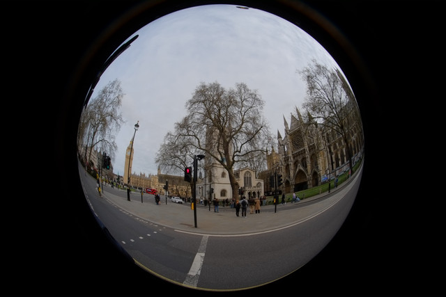 DSCF8853.jpg