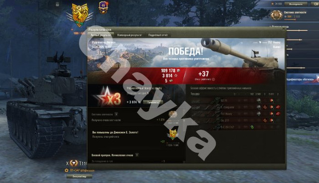 2932.jpg