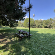 IMG-0193