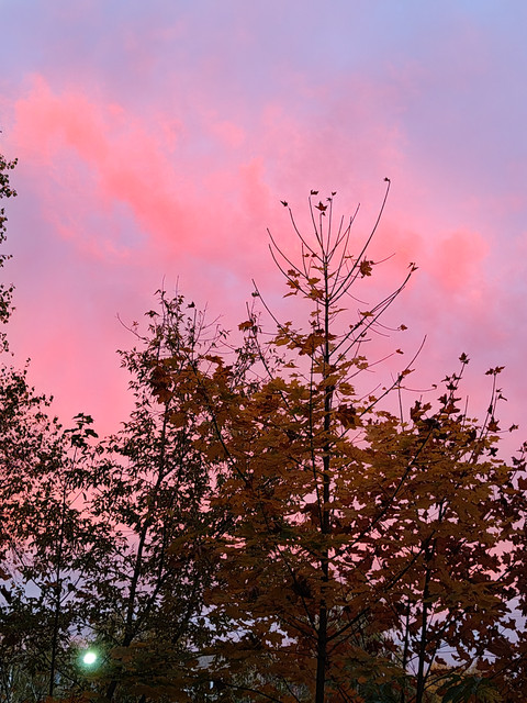 IMG20261002181119.jpg