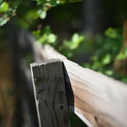 DSC 9094