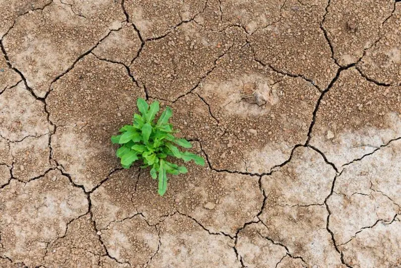 DeFi's Recent Challenges: A Resilient Future Ahead