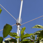 IMG 7439