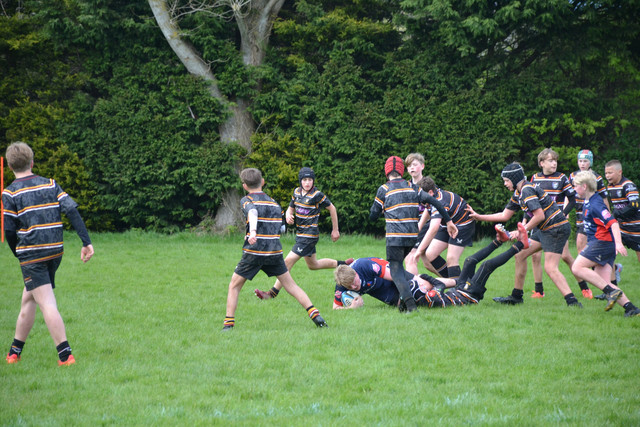 DSC 0743.jpg