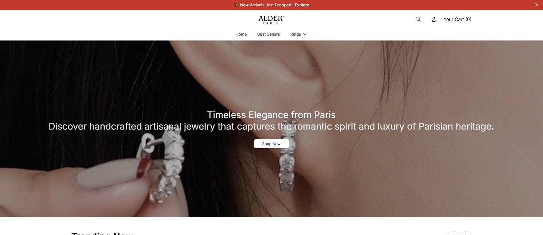 Stored capture of alderjewellersparisshop.shop
