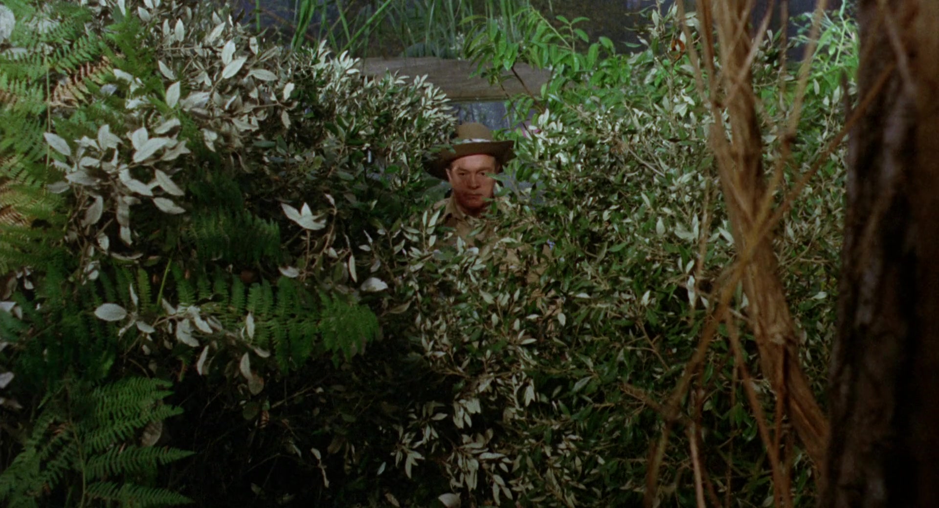 Movie cover image