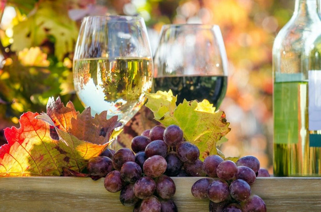 vino-con-frutas-1