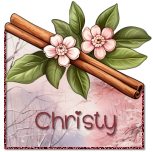 bb Christypnkwntrava.png