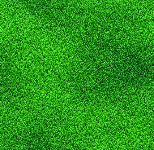 413441-DALSp-PLm-1.jpg
