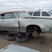 Yard1