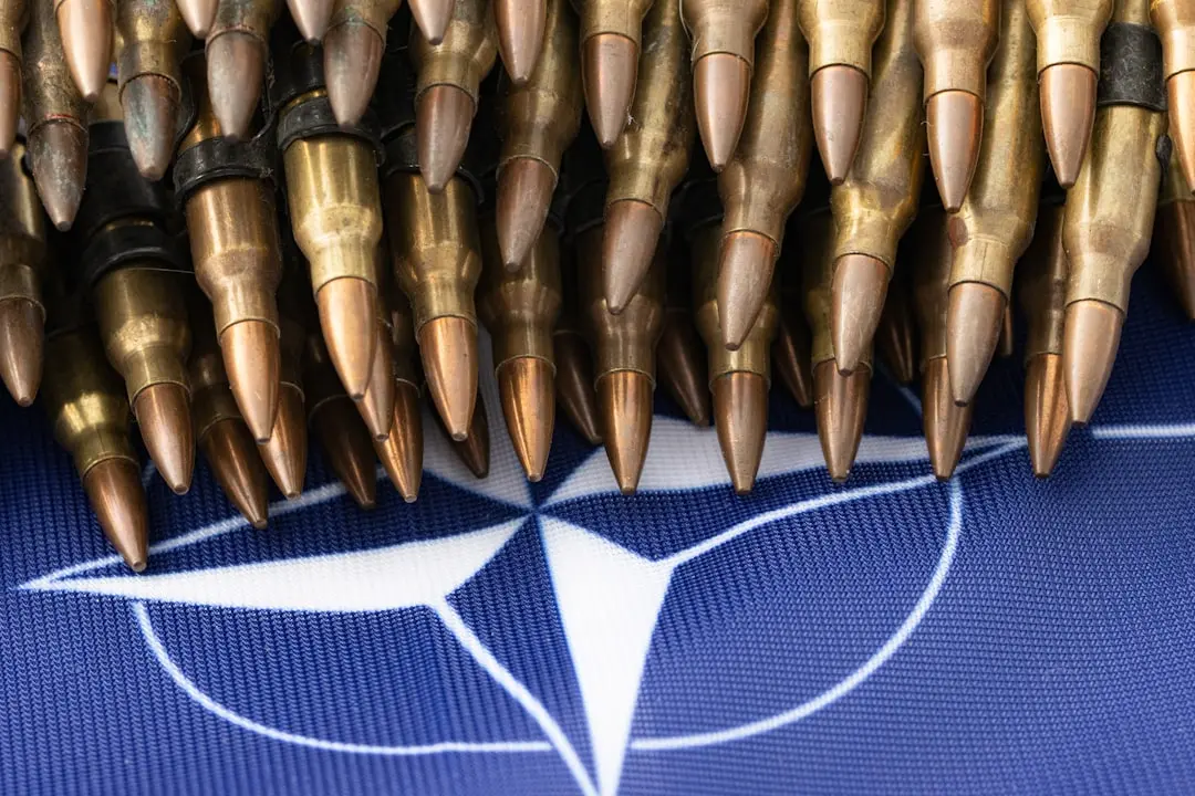 Trump‑Era NATO: Carl Bildt Warns of Deepening Divides