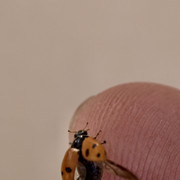 IMG 20260801 194701