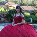 IMG 1558