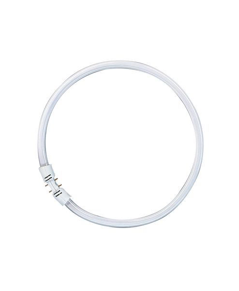 Circline 55 W/830 Lumilux