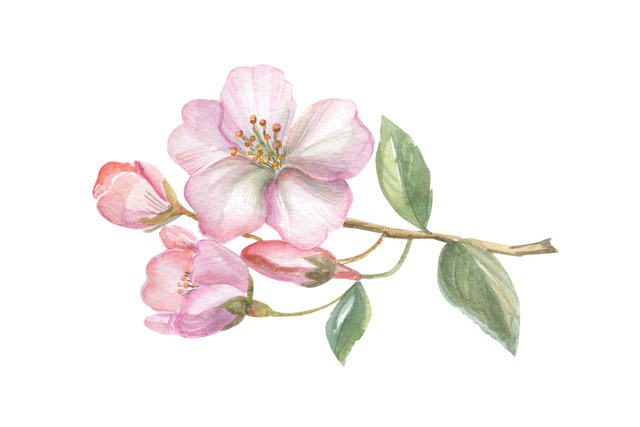 shutterstock 2192675171.jpg