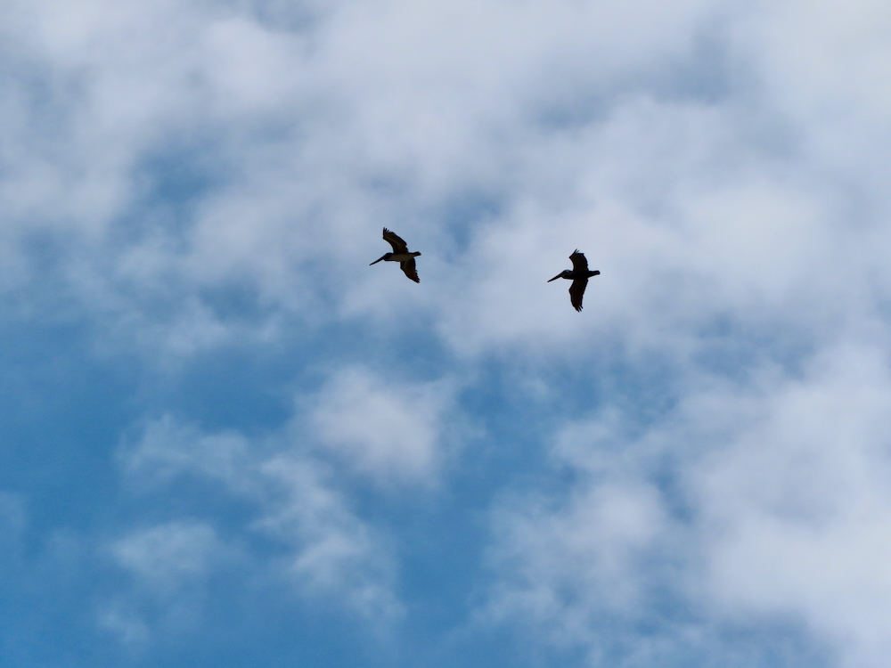 30+ лет в США. Заметки русско-американского пенсионера.