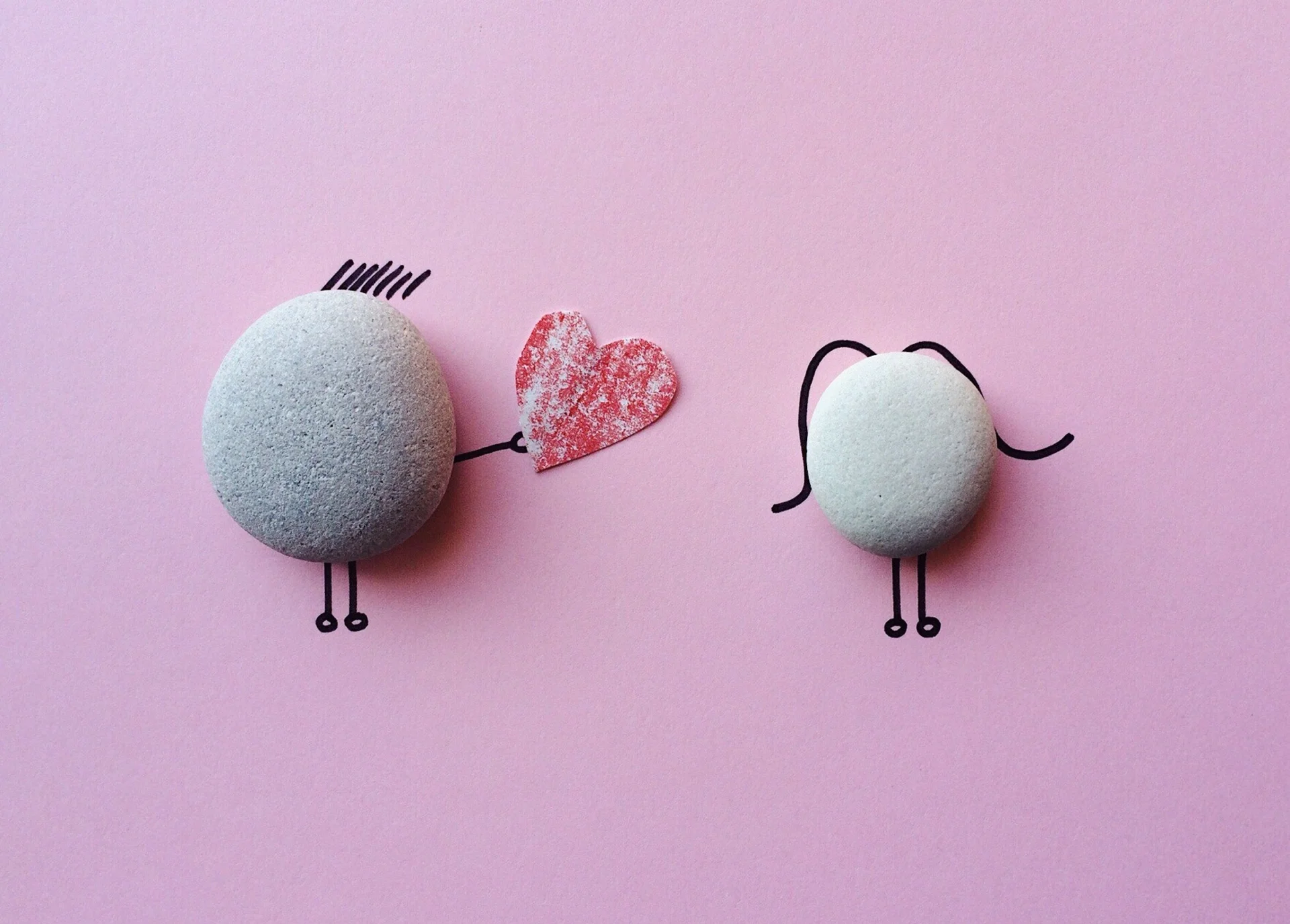 High quality Cute Wallpapers wallpaper by Pixabay from Pexels