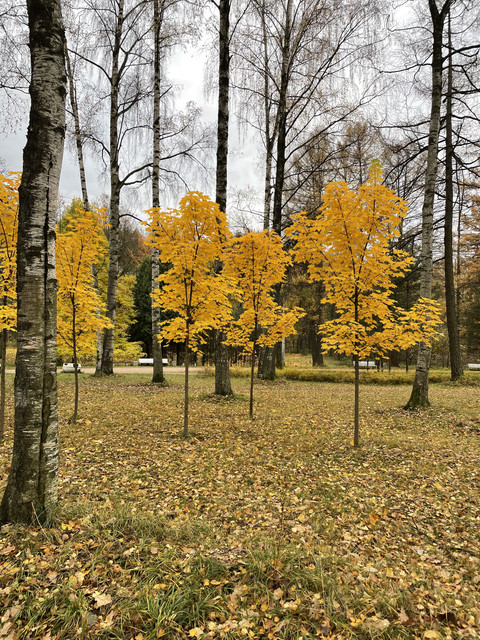 IMG-1400