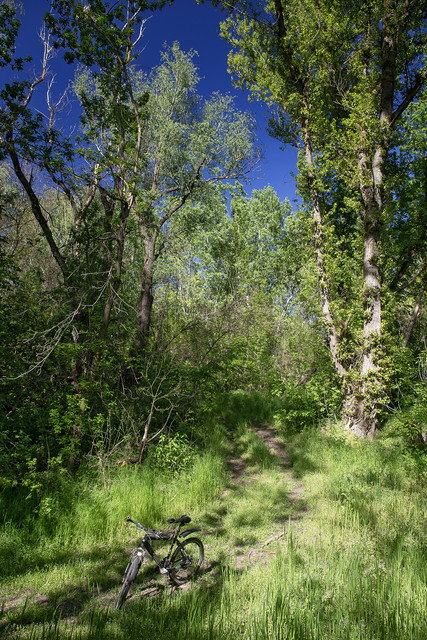 100e7721m.jpg