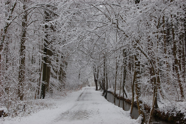 Schnee.jpg