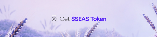 Seasons Gitbook Get $SEAS Token — How-To Hero PNG.png