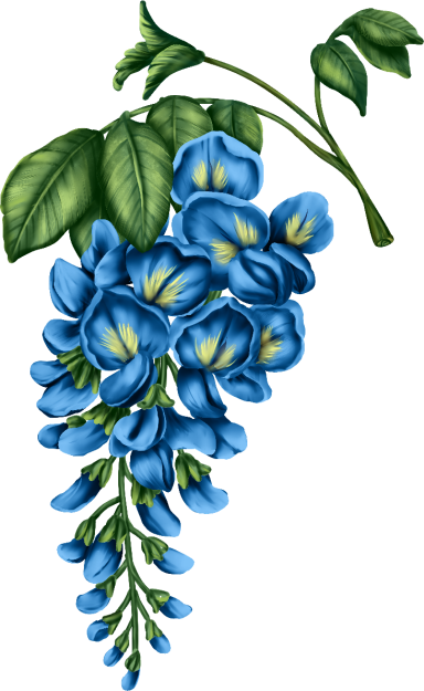 Digital Flower 038.png
