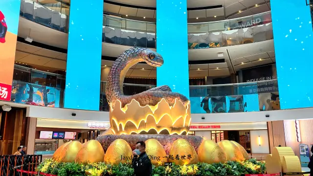 云顶高原4.webp