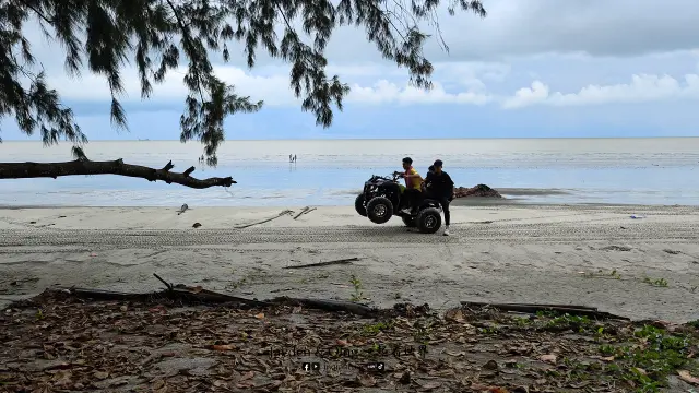 Jason Bay Public Beach5.webp