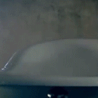 7.gif