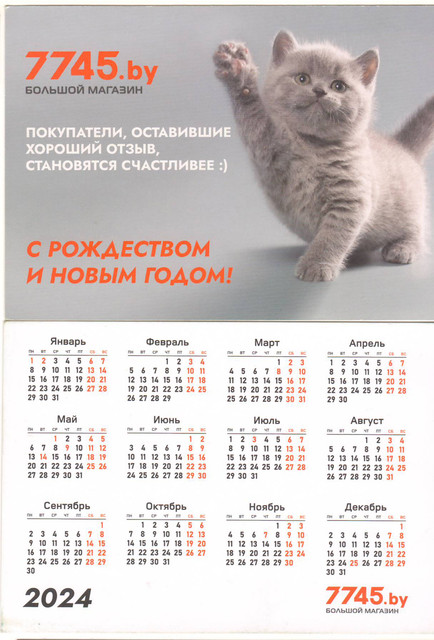https://i.ibb.co/XfWQsnwn/61.jpg