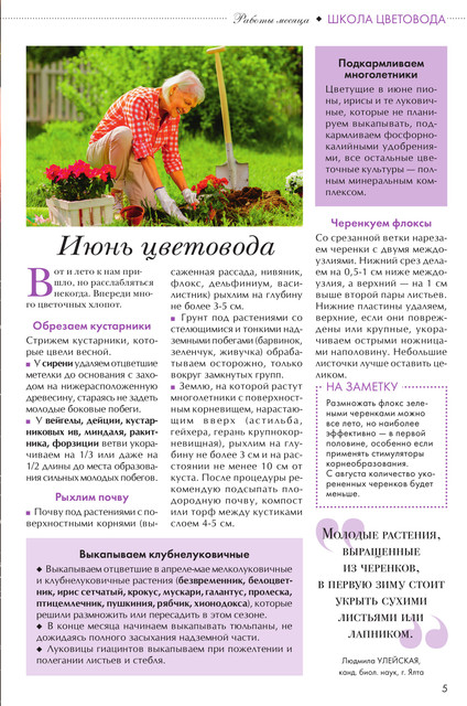 Цветок 2025 11 5.jpg